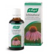 Echinaforce, peroralne kapljice, 100mL (A. Vogel)