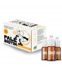 PALE BIOTIK tekočina 10 x 10 ml