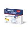 Fluimukan 600mg, 10 praškov za peroralno raztopino z okusom medu in limone