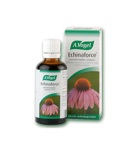 ECHINAFORCE KAPLJICE 100 ML