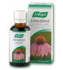 Echinaforce, peroralne kapljice, 50mL (A. Vogel)